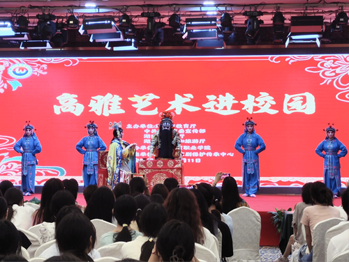 湖南外贸职业学院高雅艺术进校园展国粹盛宴(图1)