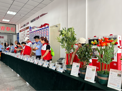 北疆禁毒心向党，青春护航无毒行(图5)